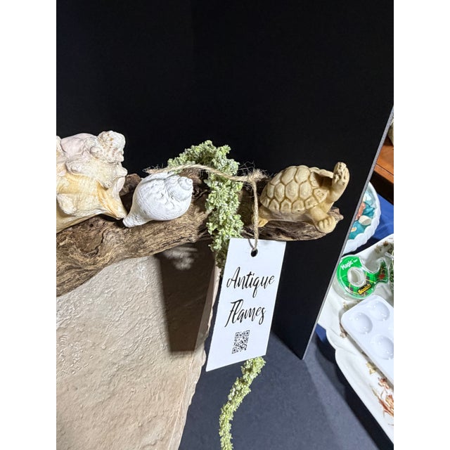 Celestial Meets the Sea Driftwood Sculpture For Sale In Chicago - Image 6 of 8