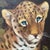 Mid 20th Century Vintage Wildlife Oil Painting on Canvas "Leopard Cub" Signed Framed For Sale - Image 5 of 12