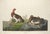Vintage John James Audubon Reproduction Prints —Grouse, Shrike, Finch, Titmouse, Wren, Falcon, Crossbill and Warbler - Collection of 4 For Sale - Image 9 of 9