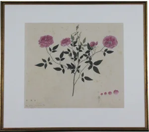 Red Camellia Rose Chinese Watercolour