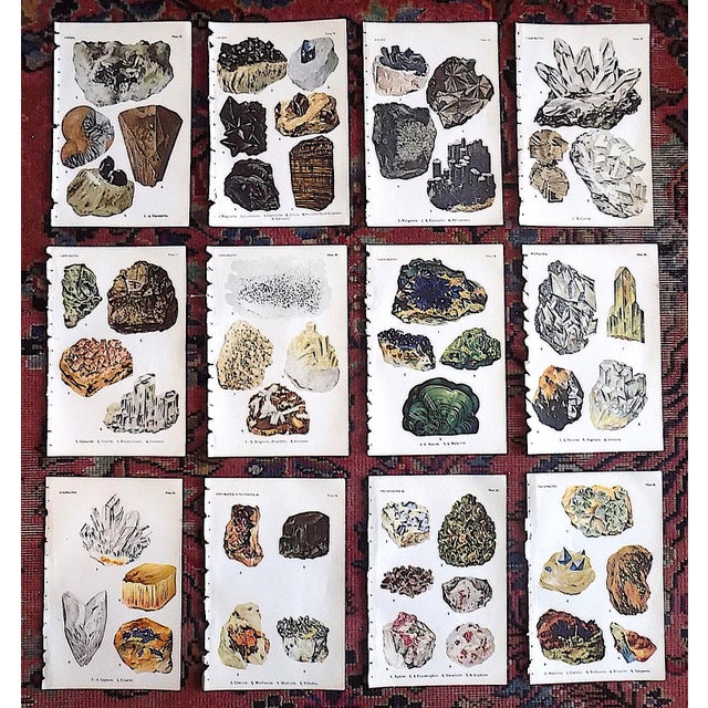 Dove Gray Authentic Antique 1916 Mineral Lithographs - Set of 12 For Sale - Image 8 of 8