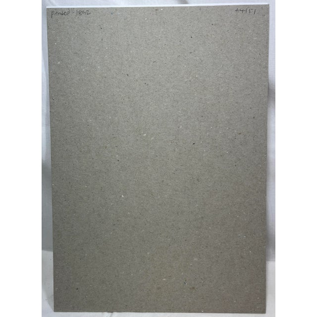 Antique Botanical Print From England Featuring a Vibrant Orangish Red Empress of India Flower With Green Foliage - Circa 1892 For Sale - Image 10 of 10