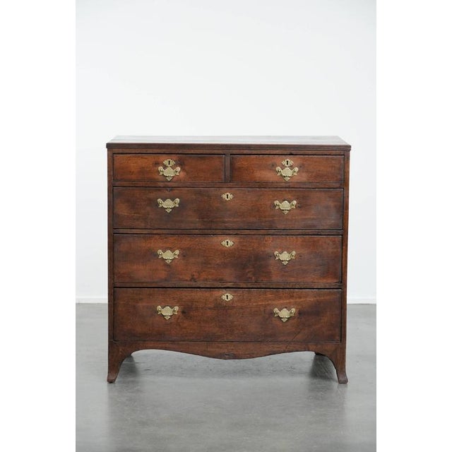 Charming and atmospheric antique English chest of drawers/dresser with 5 drawers and a beautiful color scheme/patina. :...