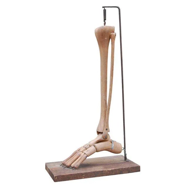 Early 20th Century Primitive Carved Medical Model For Sale - Image 5 of 5