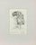 André Dunoyer De Segonzac, Woman Undressing, 1920s, Etching For Sale