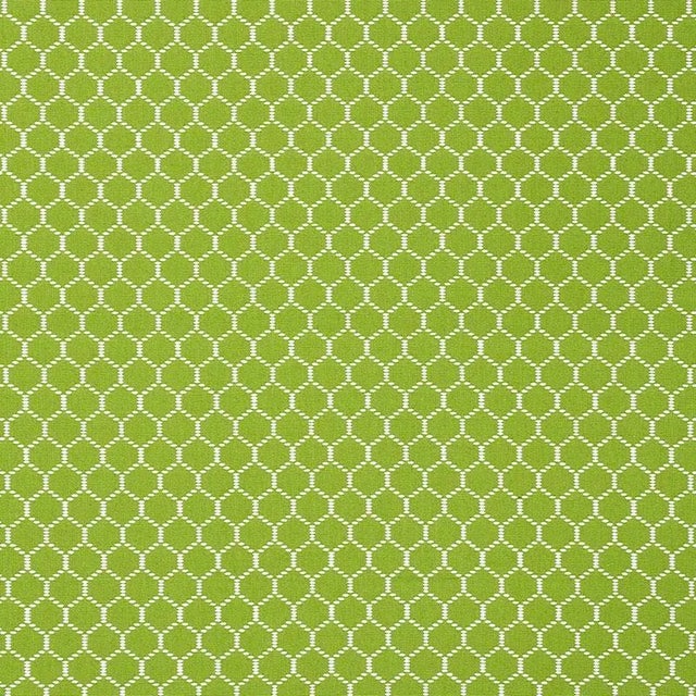 Sample - Schumacher Fishnet Fabric in Leaf For Sale