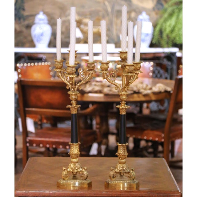 Pair of 19th C. French Empire Bronze and Patinated Brass Four-Light Candelabra For Sale - Image 4 of 10