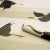 Schumacher x Peg Noriss Flying West Wallpaper In Green For Sale In New York - Image 6 of 6