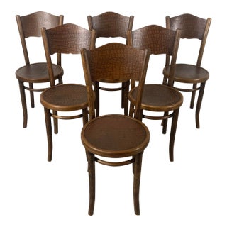1920s Model 255 Thonet Bentwood Chairs "Crocodile" Pattern- Set of 6 For Sale
