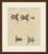 This antique frog print shows five frogs seen from above, including a small blue striped frog and a spotted brown frog, on...