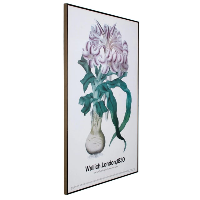 The New York Botanical Garden Print Series Vintage Botanical Prints - set of 3 For Sale In Savannah - Image 6 of 10