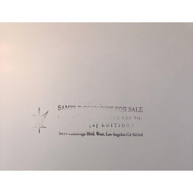 Brenda Zlamany, Birds, Cibachrome Photograph Print, NFS Sample Conceptual Taxidermy Art, 1998 For Sale - Image 4 of 4