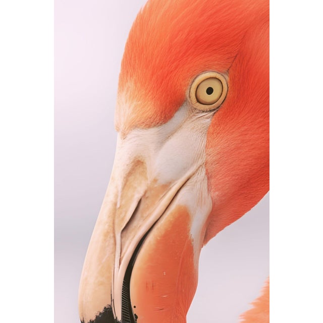 Minimalist wildlife artwork featuring a close-up flamingo portrait with soft tonal contrast and vivid coral hues. The...