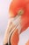 Minimalist wildlife artwork featuring a close-up flamingo portrait with soft tonal contrast and vivid coral hues. The...