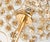 Gold-Plated & Crystal Table Lamp by Palwa, Germany, 1960s For Sale - Image 6 of 16