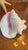 Large Conch Shell 7" X 8"" Nautical Decor Sea Shell Ocean Beach Pink White. For Sale - Image 16 of 16