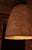 "Shell" Lamp Shade by Grigorii Gorkovenko For Sale - Image 11 of 12