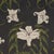 Contemporary SAMPLE - Schumacher x Backdrop Lady Lilith Wallpaper In Carbon For Sale - Image 3 of 4