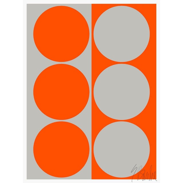 Dynamic Pair Orange and Gray Fine Art Print 14" X 20" by Liz Roache For Sale