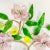 Plastic Mid-Century Boho Chic Japanese Acrylic-Lucite Cherry Blossom Wall Sculptural Object For Sale - Image 7 of 11