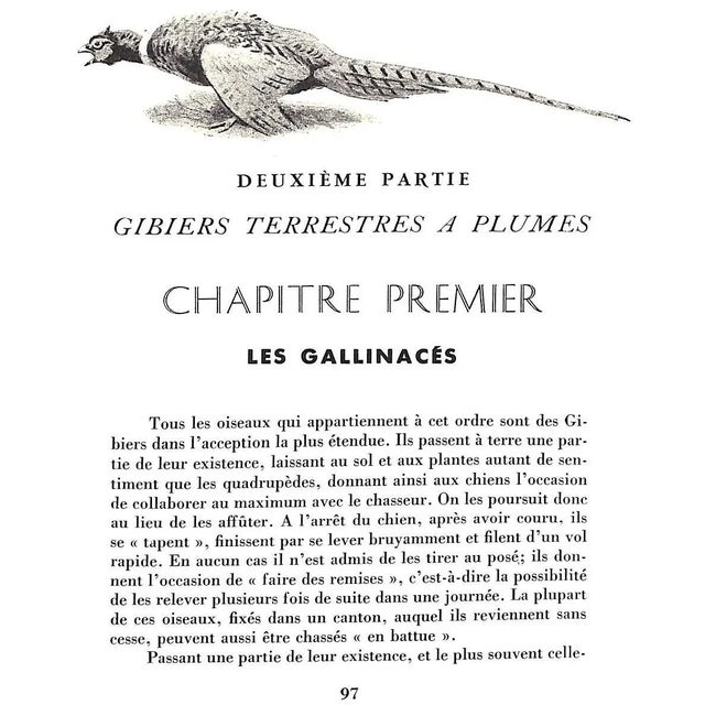 "Les Chiens D'Arret" 1971 Oberthur, J. For Sale - Image 4 of 12