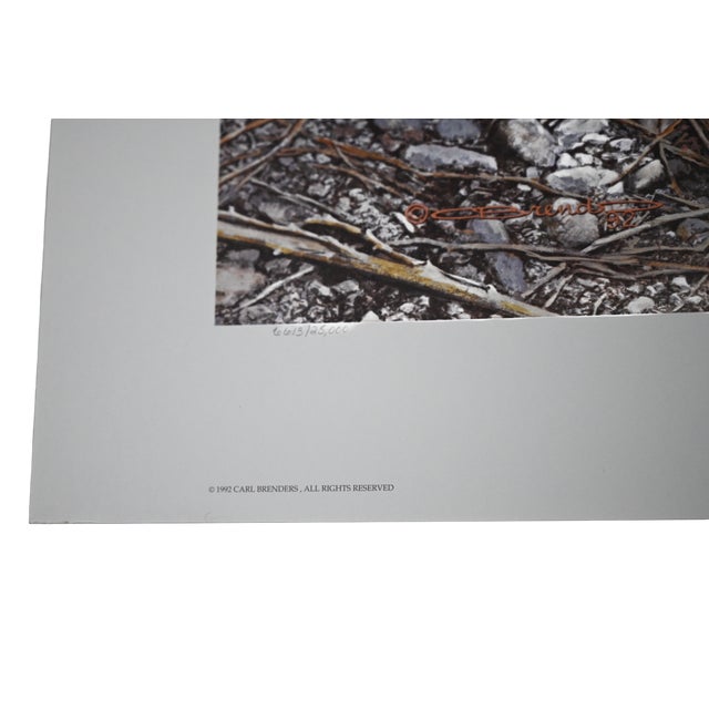 1990s Carl Brenders "Den Mother Wolf Family" Signed Limited Edition Print, 1992, With Coa For Sale - Image 5 of 11