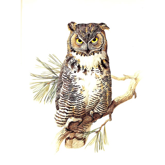 "Birds of the Northern Forest" Book 1966 Livingston, John A. For Sale - Image 9 of 11