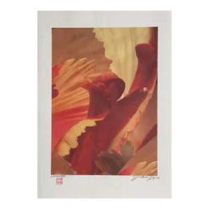 Red and Orange Waves, Jonathan Singer Digital Photo on Japon Paper, Signed