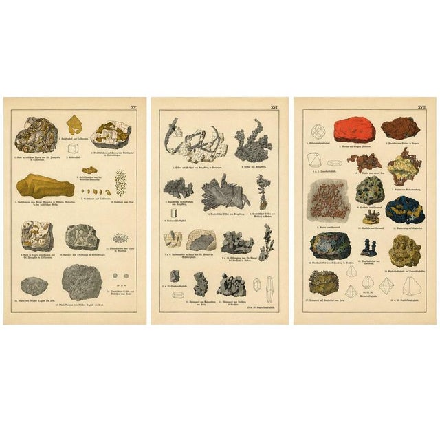 Antique Mineralogy Chromolithographs of Gold, Silver and Copper, 1888, Set of 3 For Sale - Image 9 of 9