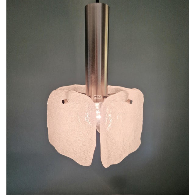 Silver Frosted Glass Pendant Light by J. T. Kalmar for Kalmar Franken KG, 1970 For Sale - Image 8 of 16