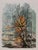 Jacques Noury, Reflections of Trees, Watercolor For Sale - Image 5 of 5