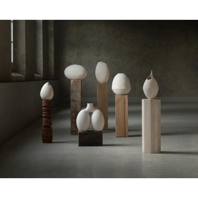 Jug by Laura Pasquino For Sale - Image 10 of 12