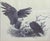 Striking vintage limited-edition wildlife print by Cecil Eakins depicting a pair of American bald eagles at their nest....
