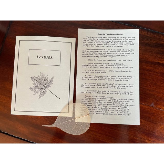 2000s Framed Etched Leaves by Booker Morey For Sale - Image 10 of 10