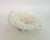 Natural White Table Coral Specimen Coastal Decor For Sale In Los Angeles - Image 6 of 9