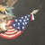 Antique Victorian Feather Art American Federal Patriotic Eagle & Flag Untouched Estate Condition C. 1880-1900 For Sale - Image 12 of 18