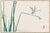 Not Yet Made - Made To Order Dragonfly on Bulrush Leaf by Kōno Bairei, Vintage Japanese Art Print Reproduction, 24" X 16" For Sale - Image 5 of 9