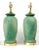 Lamp Pair Green Palm Tree Leaves For Sale - Image 11 of 12