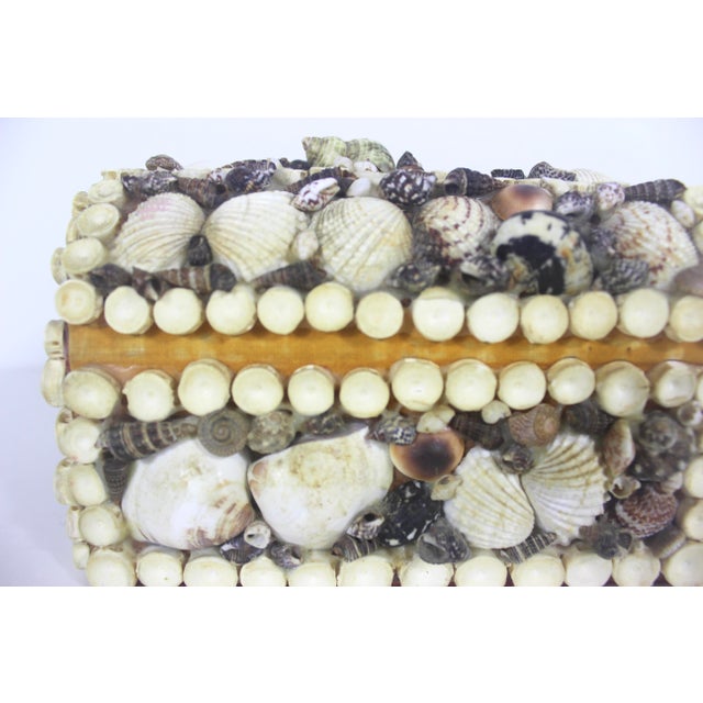Vintage Shell Encrusted Jewellery Box For Sale - Image 11 of 11