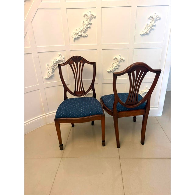 1920s Antique Mahogany Shield Back Dining Chairs and Carvers, 1920, Set of 12 For Sale - Image 5 of 18