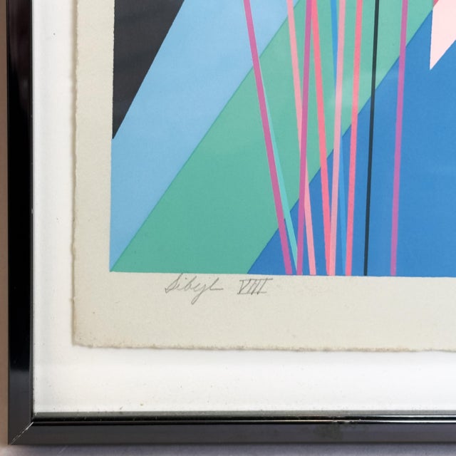 Abstract 1980s Evelyn B. Johnson "Sibyl Viii" Original Serigraph, 5/20, Signed For Sale - Image 3 of 8