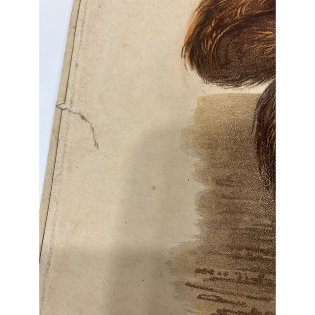 This print is dated 1817, London Regency Period Published by Longman, Hurst, Orme & Brown