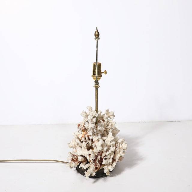 Off-white Mid-Century Modernist Coral Table Lamp With Walnut Base & Brass Fittings For Sale - Image 8 of 10