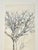 Illustration Original Pencil Sketch of a Tree For Sale - Image 3 of 5