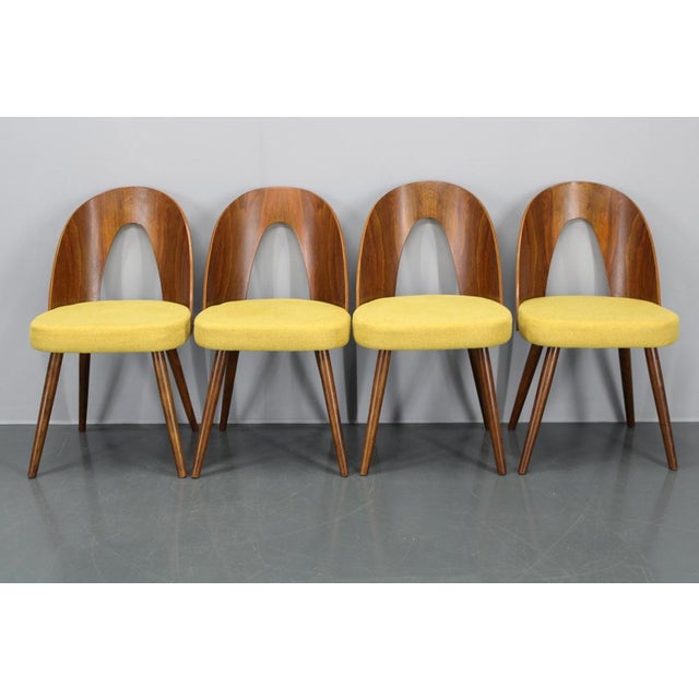 Vintage Dining Chairs in Walnut by Antonin Suman, 1960s, Set of 4 For Sale - Image 4 of 17