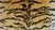 The House of Scalamandre Designer Italian Scalamandre Le Tigre Tiger Velvet Feather/Down Pillow With Samuel & Sons Trim For Sale - Image 4 of 7