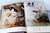 A Flight of 3 Elegant Bird Books – Audubon, Fuentes, Peterson –Oversized Illustrated Ornithology Editions For Sale - Image 14 of 15