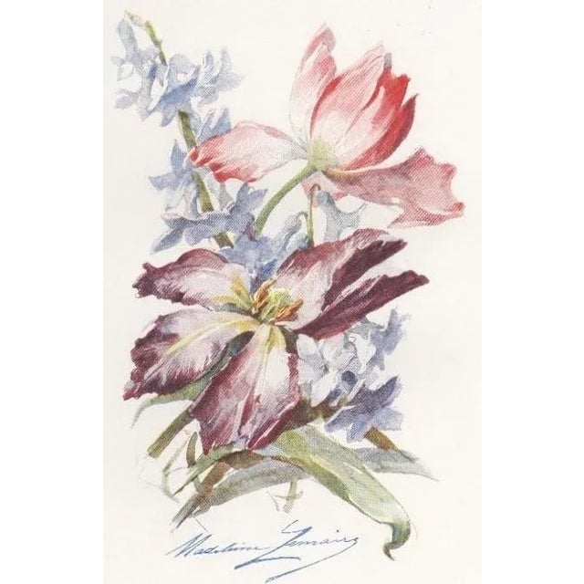 1910s Rare PAIR-c1910 French Botanical Prints-Rose, Tulip, Matted For Sale - Image 5 of 5
