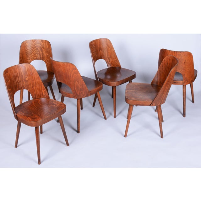 Mid-Century Chairs in Beech by Oswald Heardtl, Czech, 1950s, Set of 6 For Sale - Image 13 of 13
