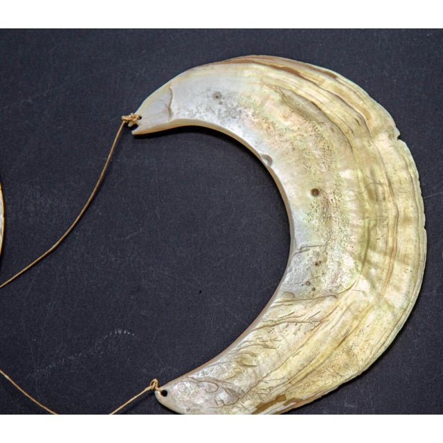 Antique Ethnic Tribal Kina Crescent Shell Necklaces Papua New Guinea Set of 3 For Sale In Palm Springs - Image 6 of 12